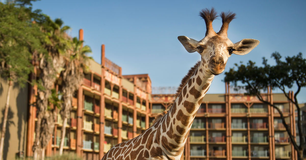 Best Disney Resort for Toddlers at Walt Disney World